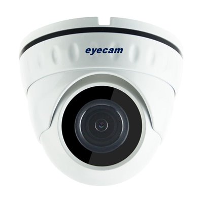Camera IP full HD 1080P Sony Dome 20M Eyecam EC-1350