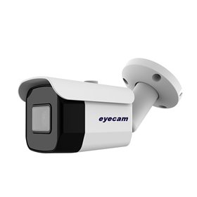 Camera supraveghere IP exterior 30M Eyecam EC-1375 1080P